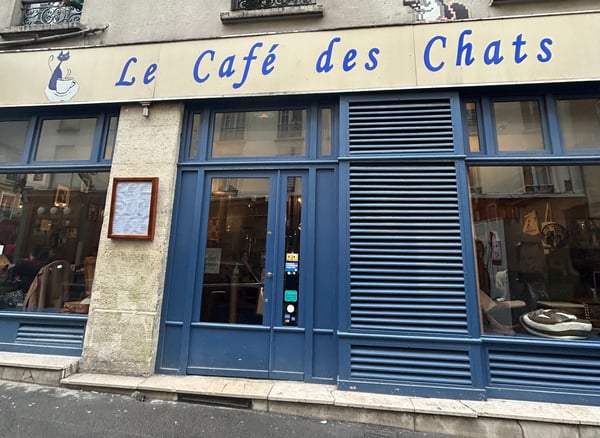 [Interview] Le menu QR Code s&rsquo;installe au Café des Chats à Paris