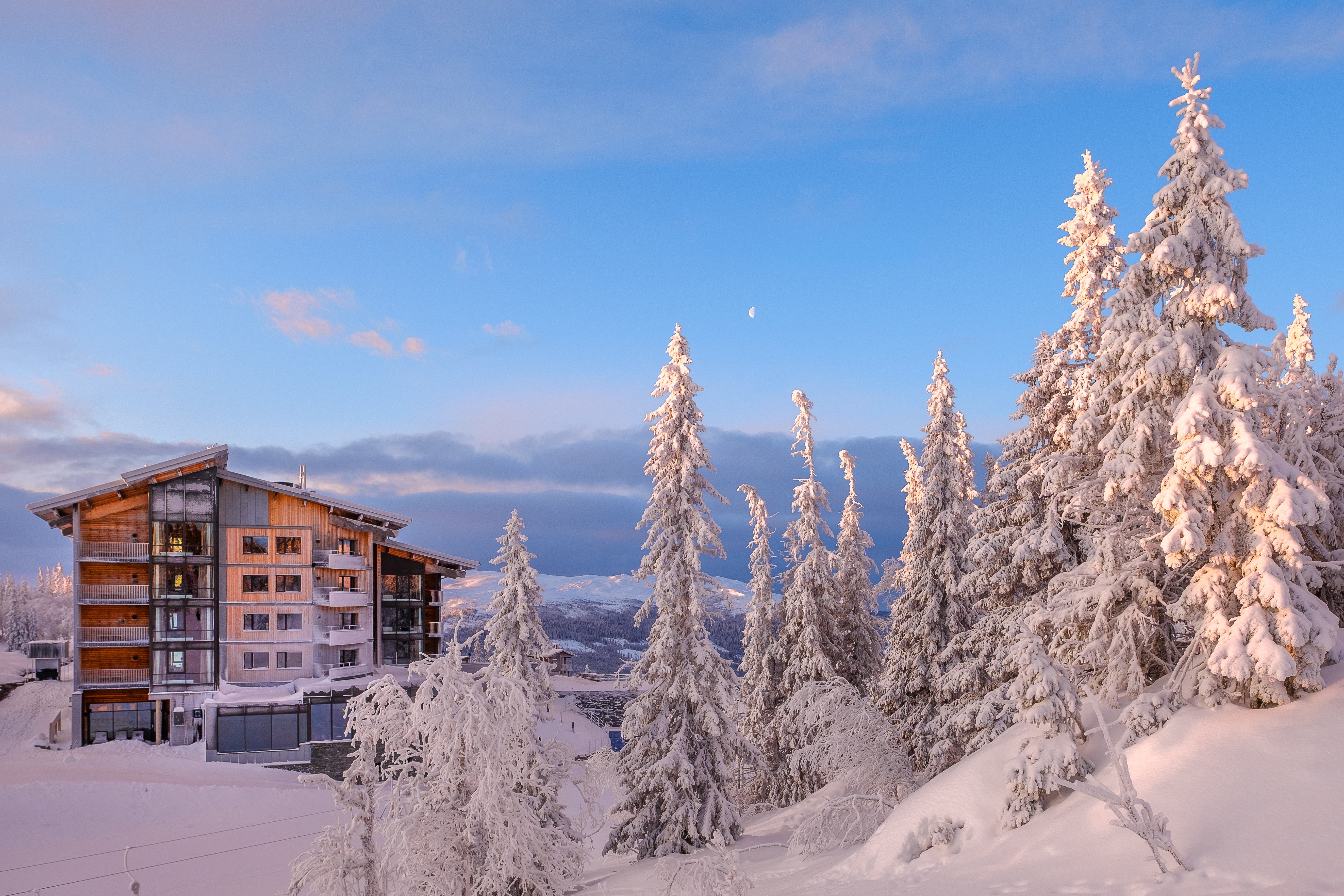 Hôtel, Restaurant, Bar : Stratégie gagnante pour réussir sa saison de montagne TastyCloud